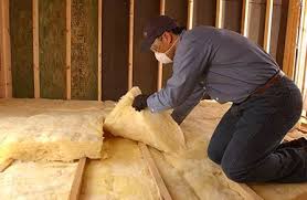 Professional Insulation Removal & Installation in Frankford, DE