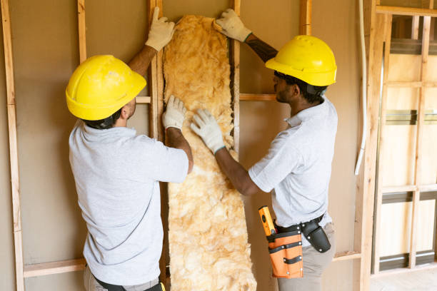 Best Eco-Friendly or Green Insulation Solutions in Frankford, DE